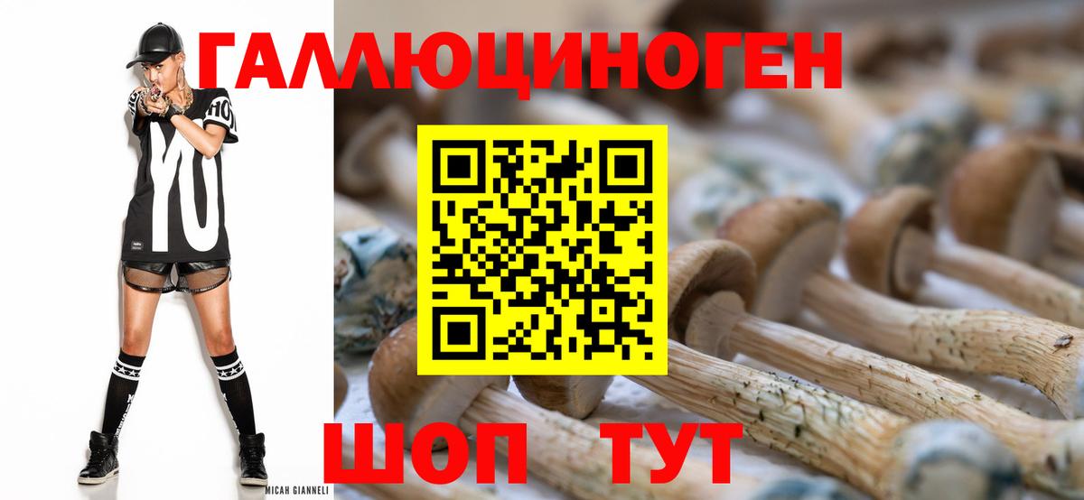Галлюциногенные грибы ЛСД Черкесск